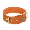 Active Golden Burned Orange - Collar ancho y resistente con hebilla