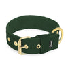 Active Golden Forest Green - Collar ancho y resistente con hebilla