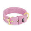 Active Golden Candy Pink - Collar ancho y resistente con hebilla