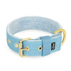 Active Golden Baby Blue - Collar ancho y resistente con hebilla