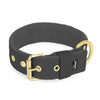 Active Golden Dark Grey - Collar ancho y resistente con hebilla