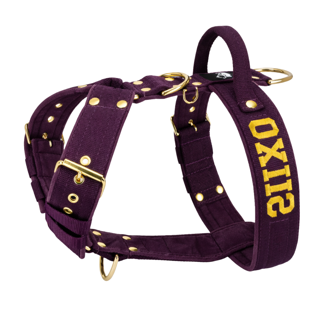 Arnés para perro personalizado