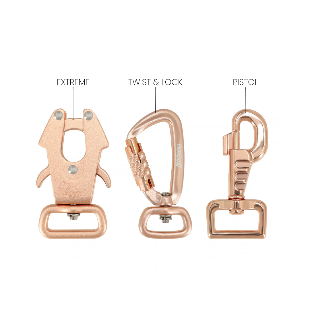 Walk Leash Rose Edition Pastel Blue - Correa de nylon resistente en diferentes longitudes