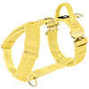 Easy Walk Extreme Gold Buckle Gold Yellow - Arnés con hebilla de cierre rápido