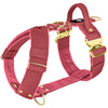 Easy Walk Extreme Gold Buckle Raspberry Red - Arnés con hebilla de cierre rápido