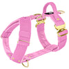 Easy Walk Extreme Gold Buckle Candy Pink - Arnés con hebilla de cierre rápido