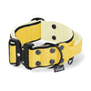 Extreme Buckle Black Edition Baby Yellow - Collar fuerte y seguro
