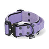 Extreme Buckle Black Edition Baby Purple - Collar fuerte y seguro