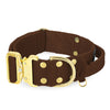 Extreme Gold Buckle Marrón Oscuro - Collar fuerte y seguro