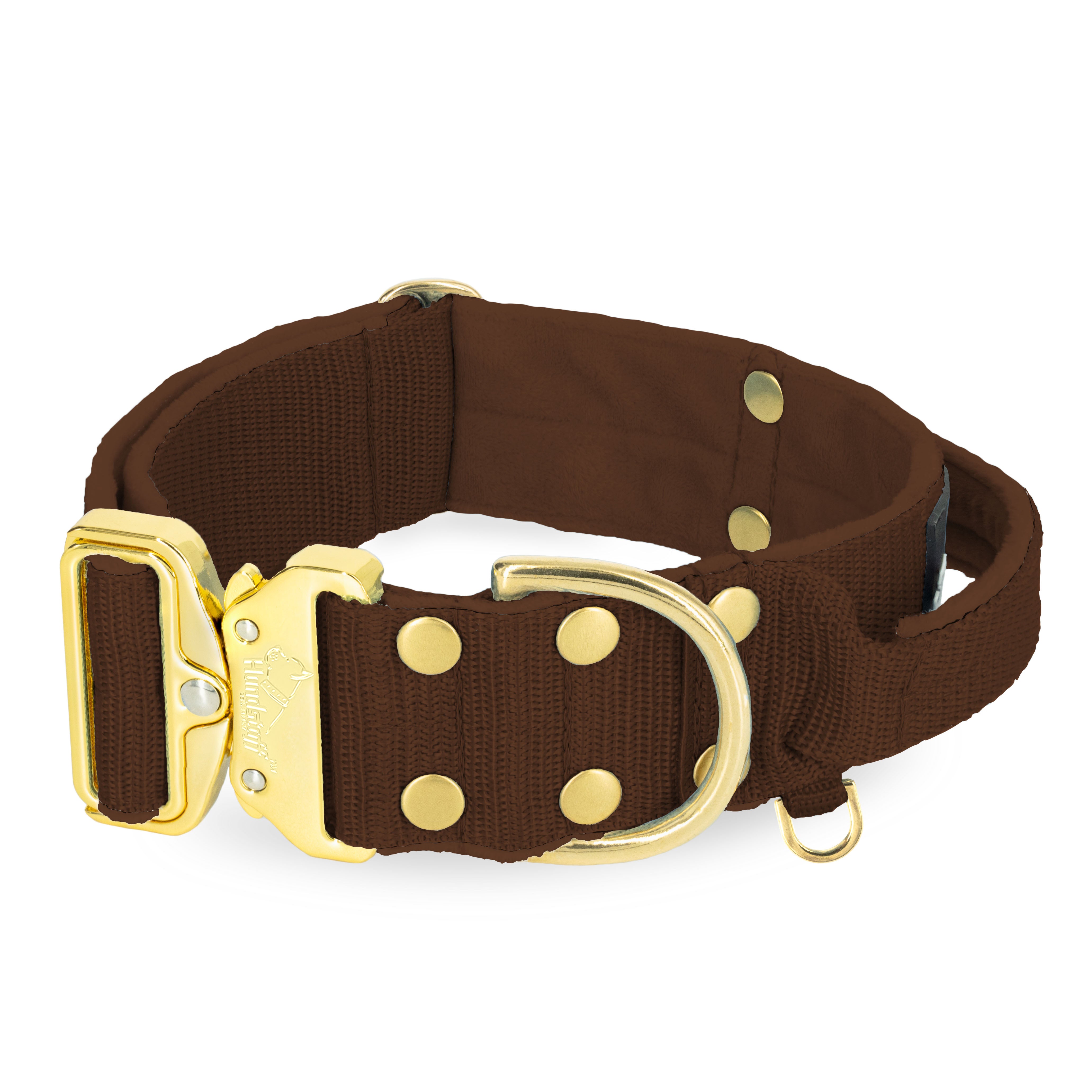 Extreme Gold Buckle Marrón Oscuro - Collar fuerte y seguro