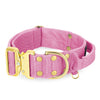 Extreme Gold Buckle Candy Pink - Collar fuerte y seguro