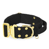 Extreme Gold Buckle Negro - Collar fuerte y seguro