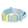 Extreme Gold Buckle Baby Blue - Collar fuerte y seguro