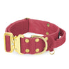 Extreme Gold Buckle Raspberry Red - Collar fuerte y seguro