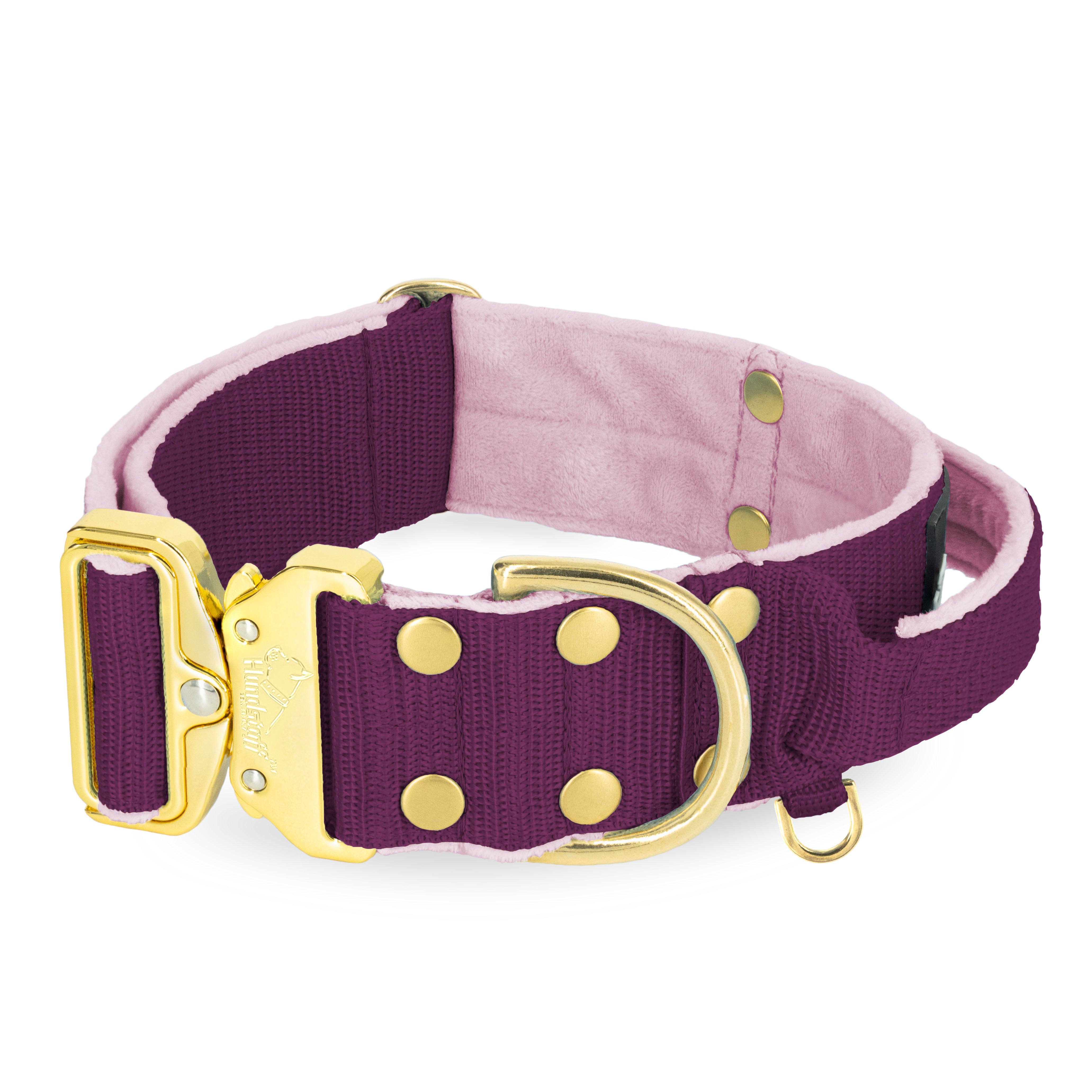 Extreme Gold Buckle Plum - Collar fuerte y seguro