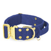Extreme Gold Buckle Azul Marino - Collar fuerte y seguro