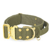 Extreme Gold Buckle Khaki - Collar fuerte y seguro