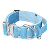 Extreme Silver Buckle Baby Blue - Collar resistente y seguro