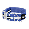 Extreme Silver Buckle Safe Blue - Collar reflex seguro