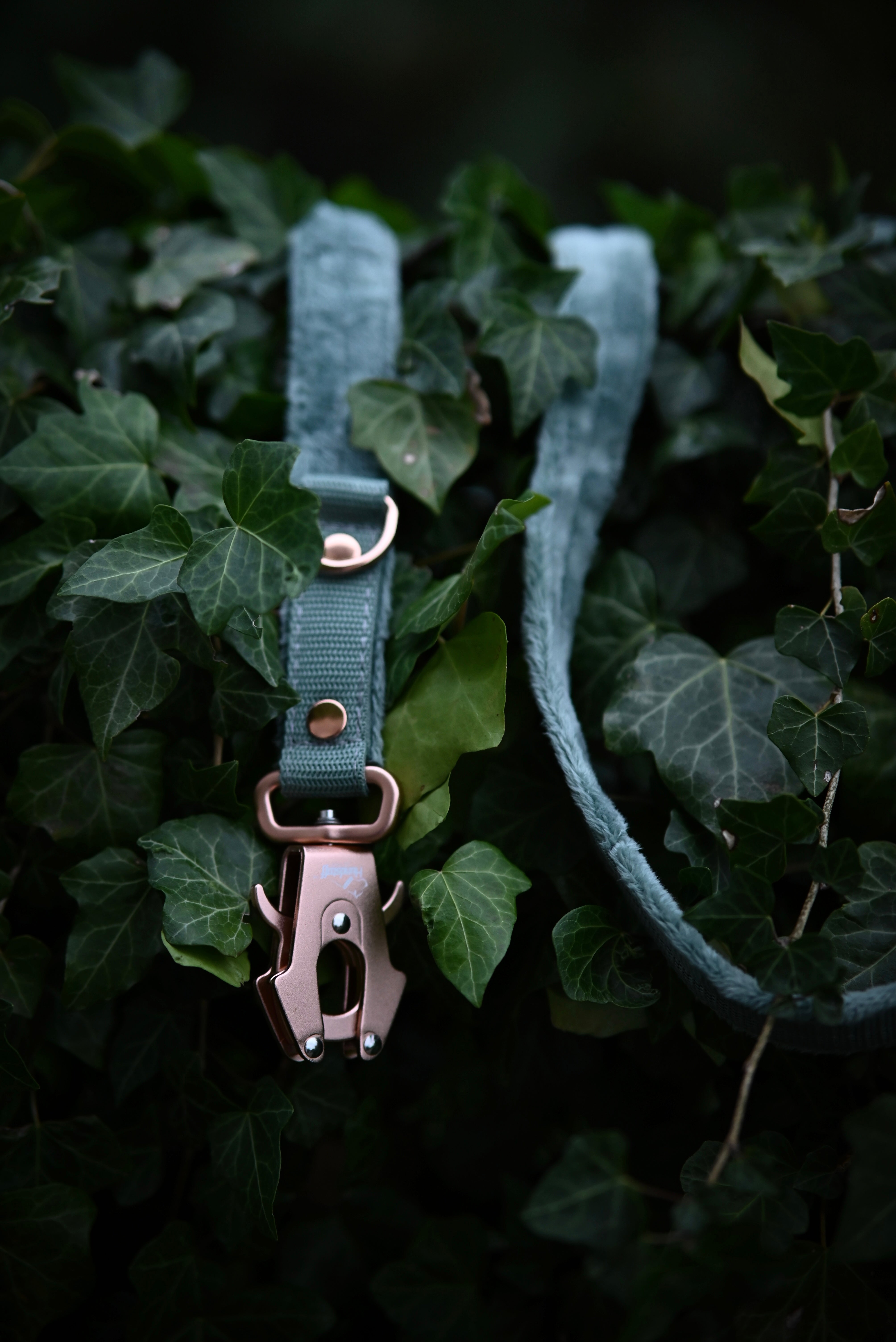 Walk Leash Rose Edition Pastel Green - Correa de nylon segura en diferentes longitudes