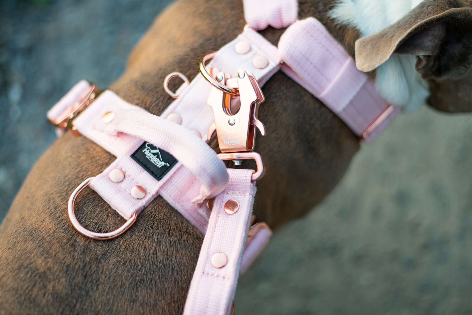 Walk Leash Rose Edition Pastel Pink - Correa de nylon segura en diferentes longitudes