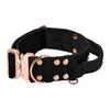 Extreme Rose Buckle Negro - Collar fuerte y seguro