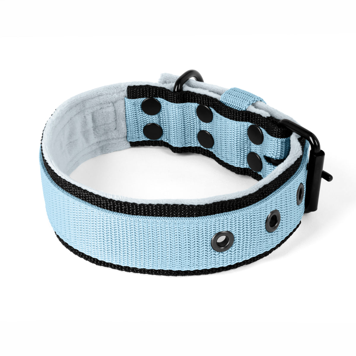 Active Komfort Black Edition Baby Blue - Collar ancho y resistente con hebilla