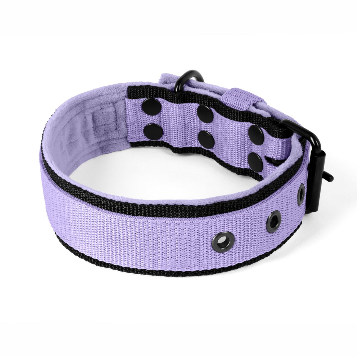 Active Komfort Black Edition Baby Purple - Cuello ancho y resistente con hebilla
