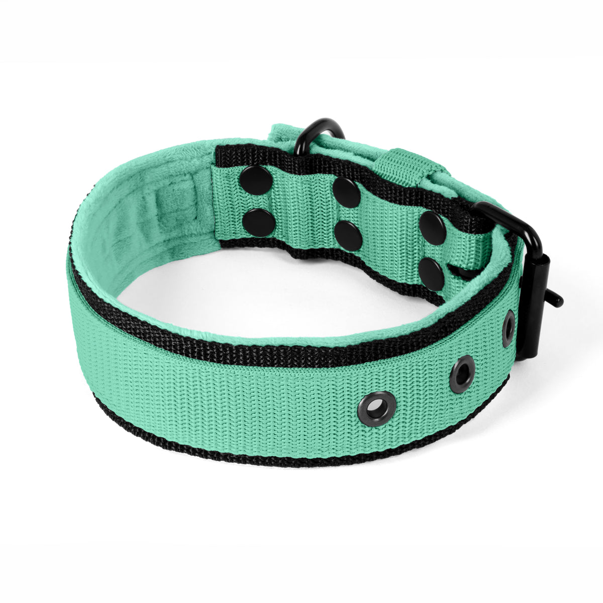Active Komfort Black Edition Mint - Collar ancho y resistente con hebilla