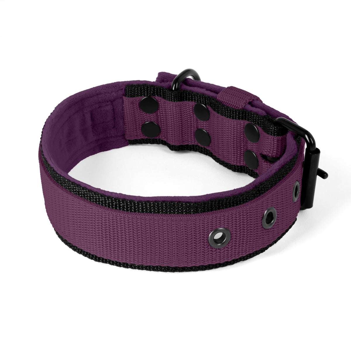 Active Komfort Black Edition Plum - Collar ancho y resistente con hebilla