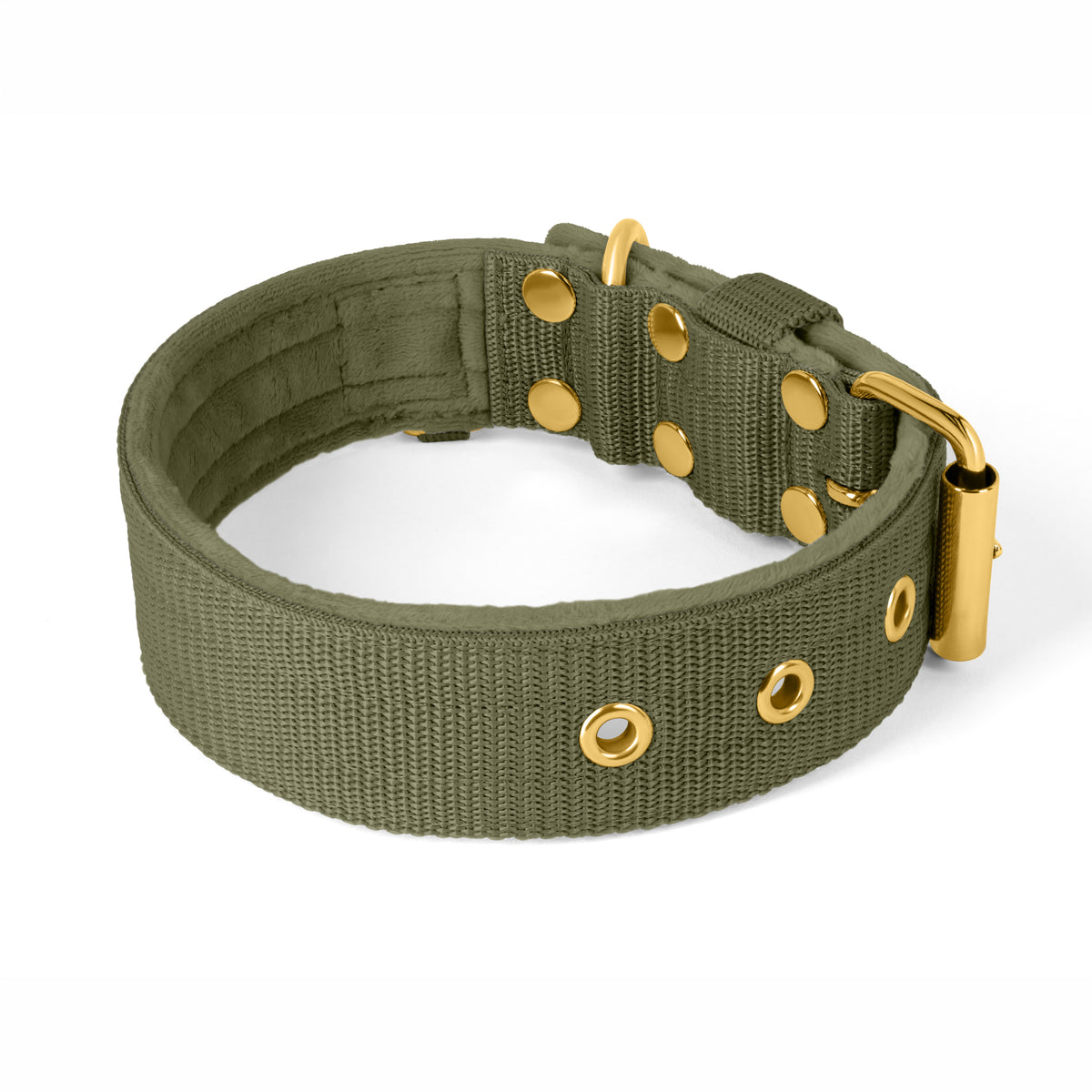 Active Golden Khaki - Collar ancho y resistente con hebilla