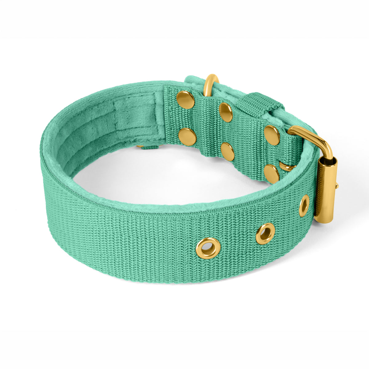 Active Golden Beige - Collar ancho y resistente con hebilla