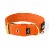 Active Golden Beige - Collar ancho y resistente con hebilla