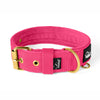 Active Golden Beige - Collar ancho y resistente con hebilla