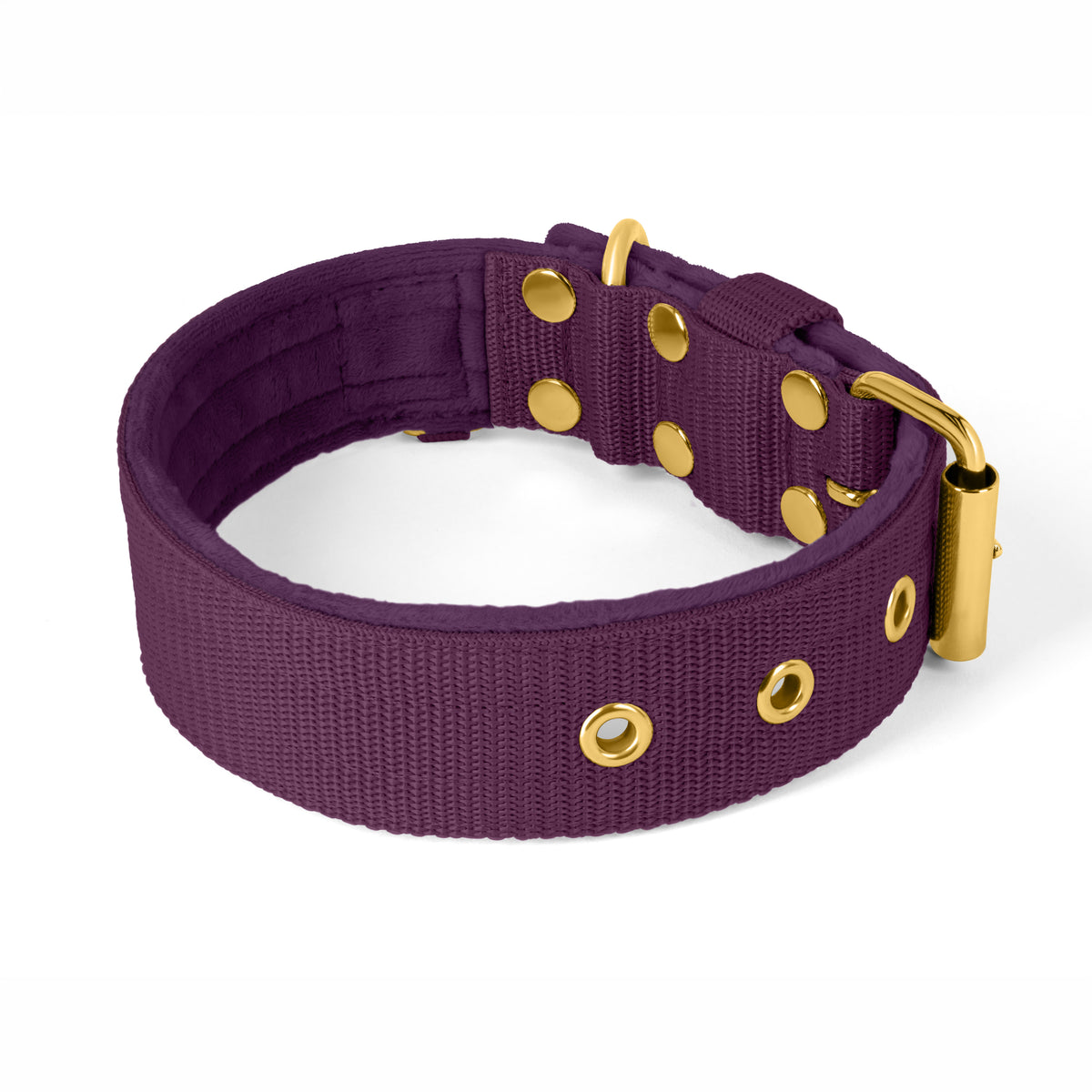 Active Golden Plum - Collar ancho y resistente con hebilla