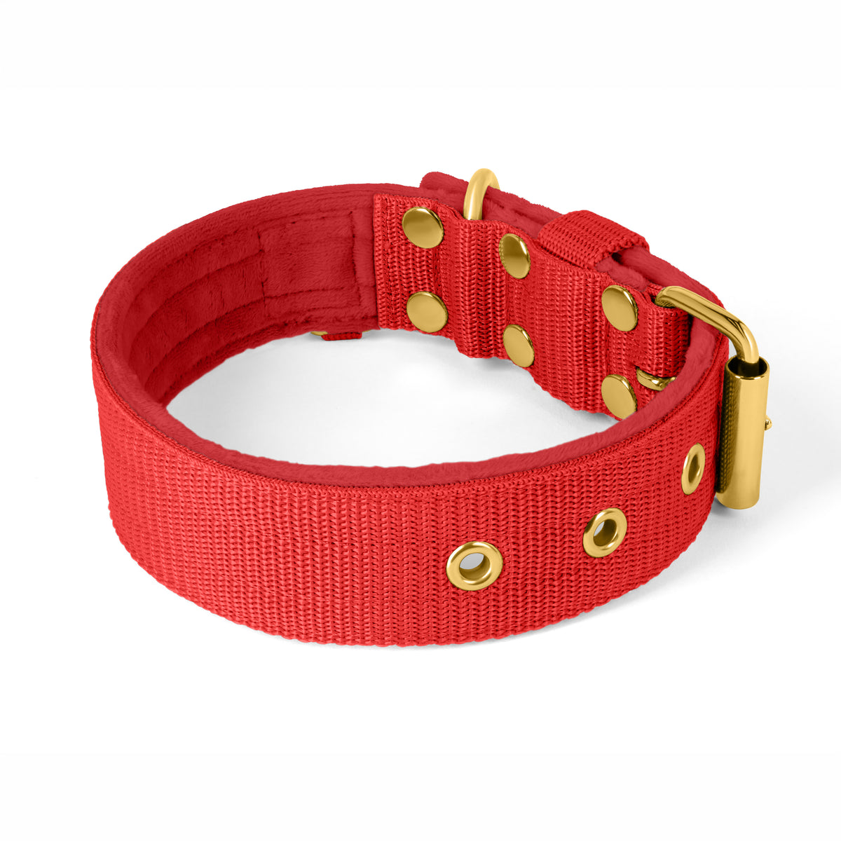 Active Golden Beige - Collar ancho y resistente con hebilla