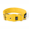 Active Golden Beige - Collar ancho y resistente con hebilla