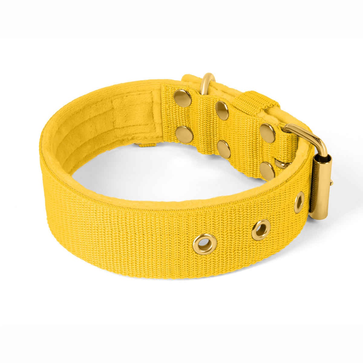 Active Golden Beige - Collar ancho y resistente con hebilla