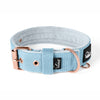 Active Komfort Rose Edition Pastel Green - Collar ancho y resistente con hebilla