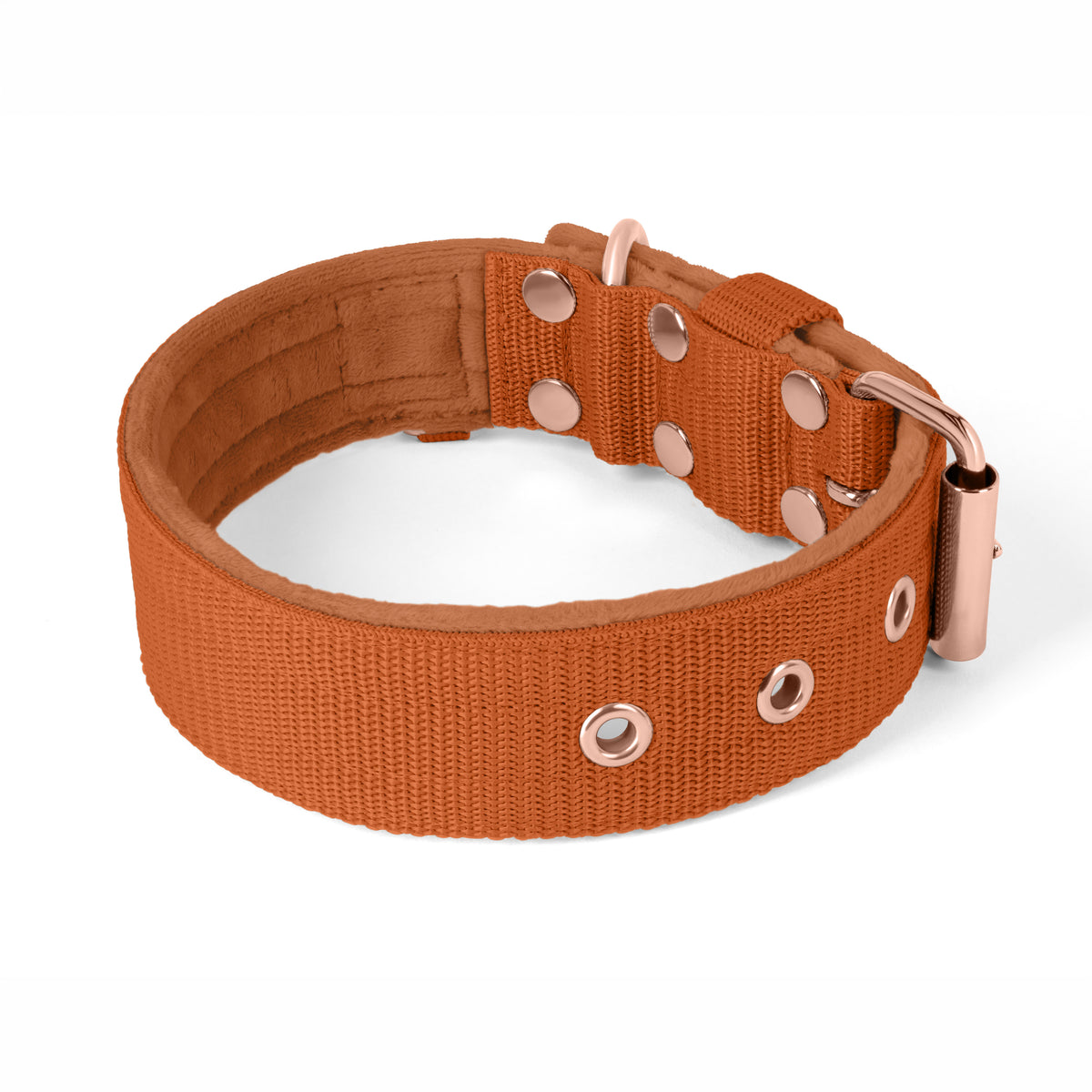 Active Komfort Rose Edition Pastel Green - Collar ancho y resistente con hebilla