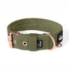 Active Komfort Rose Edition Pastel Green - Collar ancho y resistente con hebilla