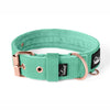 Active Komfort Rose Edition Pastel Green - Collar ancho y resistente con hebilla