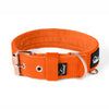 Active Komfort Rose Edition Pastel Green - Collar ancho y resistente con hebilla