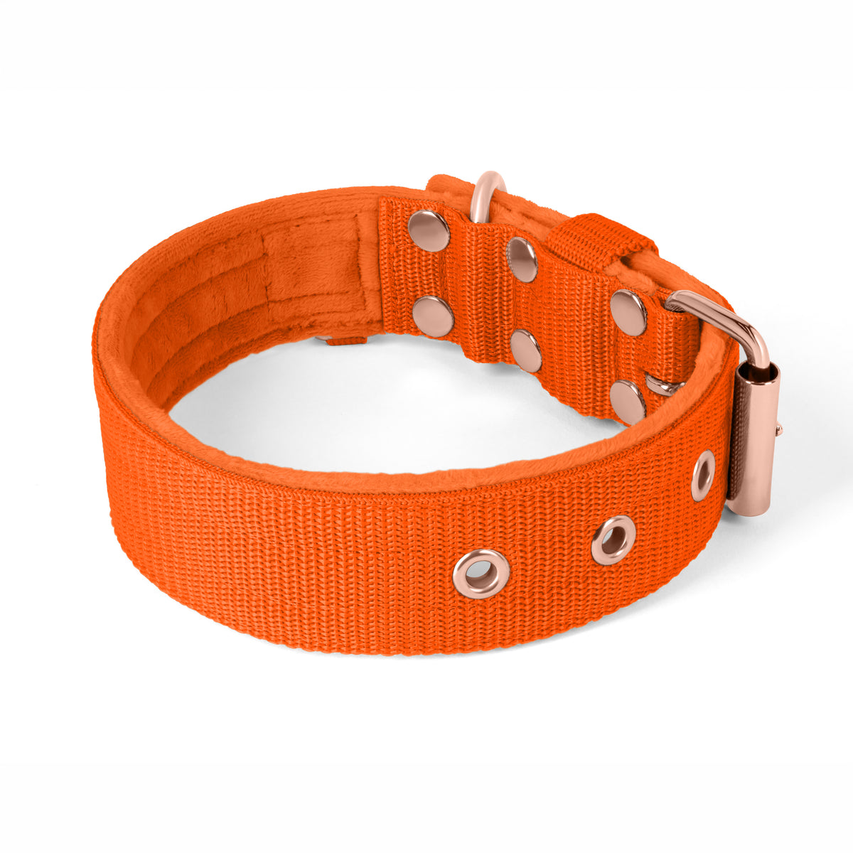 Active Komfort Rose Edition Pastel Green - Collar ancho y resistente con hebilla