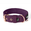 Active Komfort Rose Edition Plum - Collar ancho resistente con hebilla