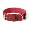 Active Komfort Rose Edition Pastel Green - Collar ancho y resistente con hebilla