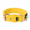 Active Komfort Rose Edition Pastel Green - Collar ancho y resistente con hebilla