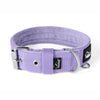 Active Baby Purple - Collar ancho y resistente con hebilla