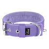 Active Baby Purple - Collar ancho y resistente con hebilla
