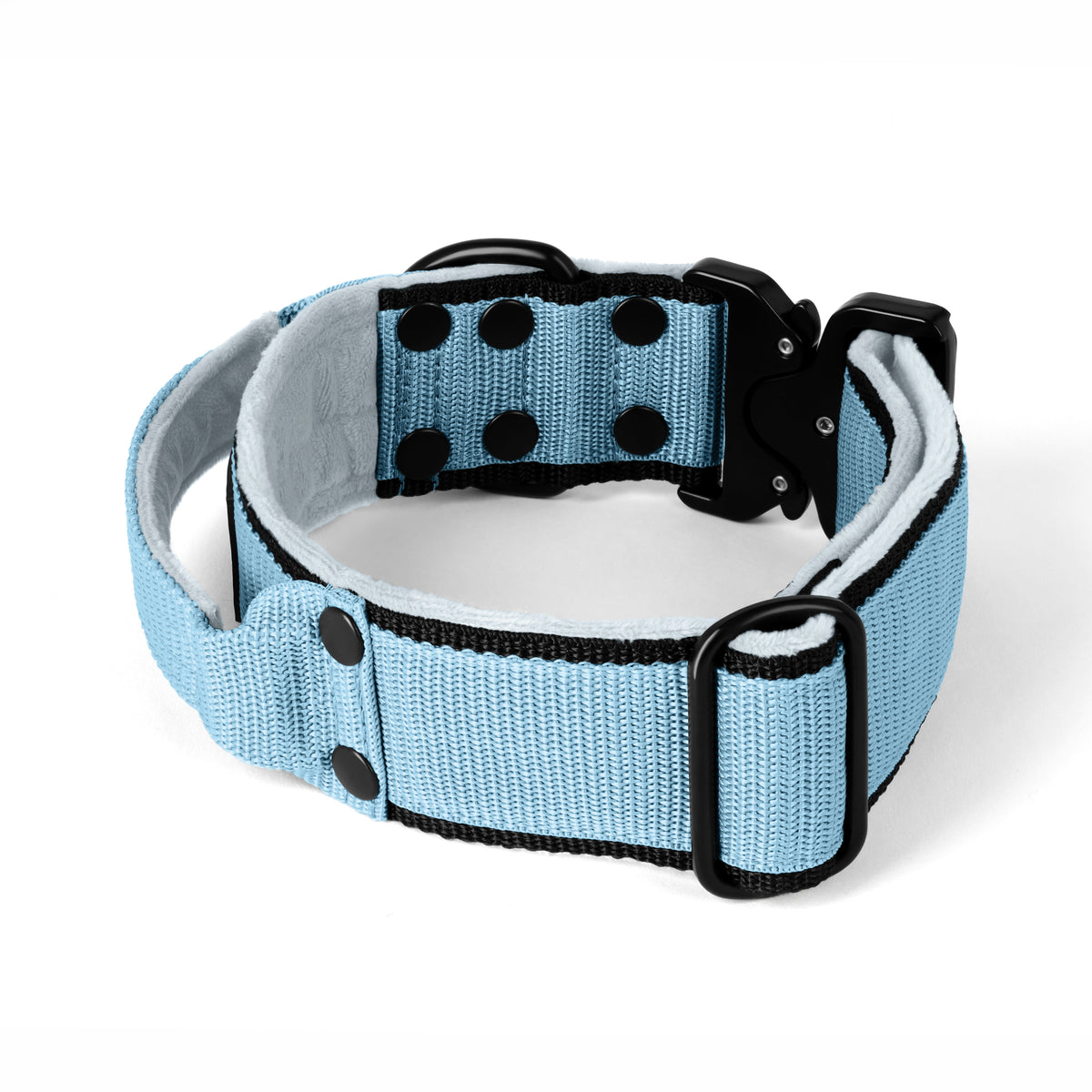 Extreme Buckle Black Edition Baby Blue - Collar resistente y seguro